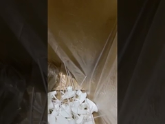 pulvérisateur de déclencheur